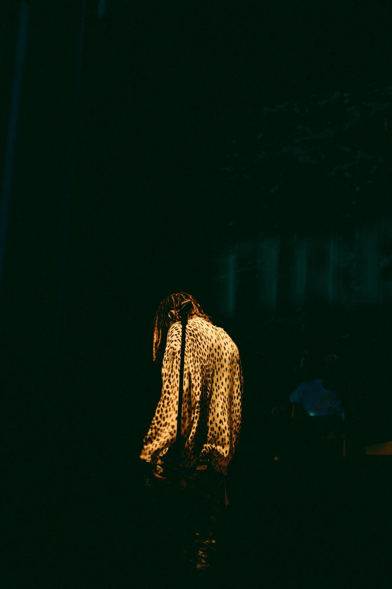 Concerts/Events photography - image 3